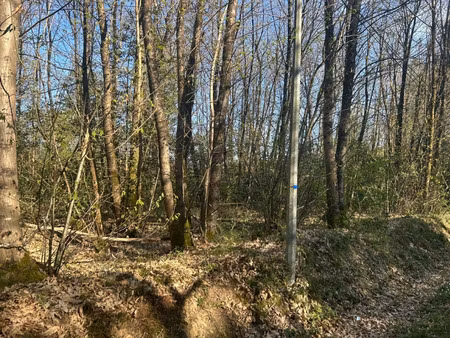 terrain à vendre le vieil bauge 16366m2 20 000€