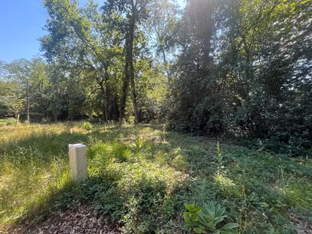 vente terrain 800 m² blanquefort (33290)