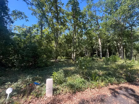 vente terrain 845 m² blanquefort (33290)