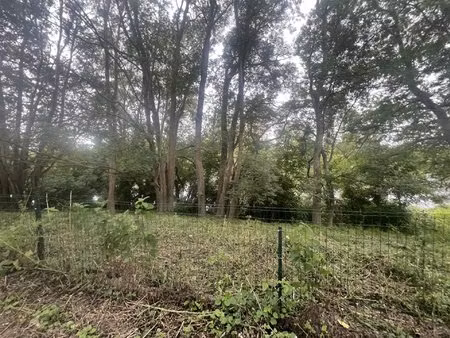 terrain en bord de vienne avec cabanon