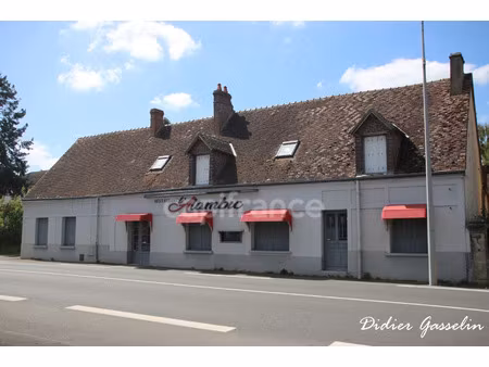 local professionnel à vendre arcisses 12 pièce(s) 373m2 315 000€