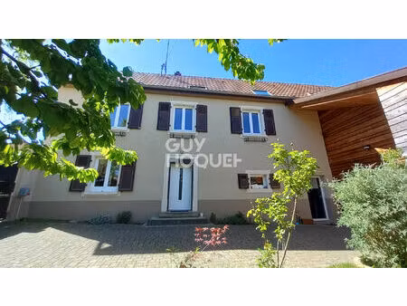 maison coup de coeur à vendre à steinbach - 7 pièces  220 m²