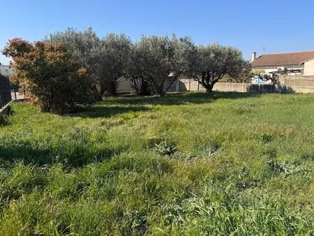 terrain constructible viabilisé- beaucaire
