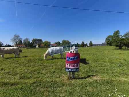 vente terrain 1000 m² à auxi-le-château (62390)  34 900 €