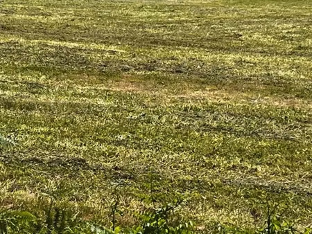 vente terrain 549 m² à vervant (17400)  32 391 €