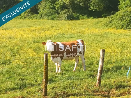 vente terrain à batir 692 m² à montcey (70000)  35 984 €