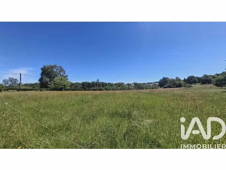 vente terrain 11999 m² à le chastang (19190)  52 000 €