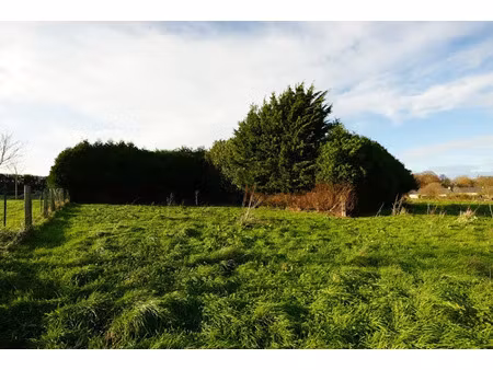vente terrain 300 m² à saint-manvieu-norrey (14740)  77 000 €