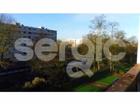appartement t1 bis