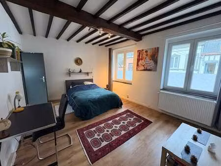appartement 1 chambre +grand grenier situé à l'entrée de sp