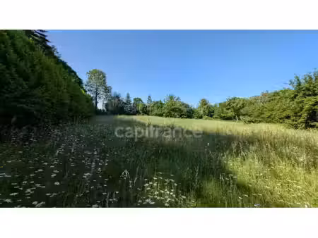 maison à vendre ranes 3 pièce(s) 77m2 56 500€