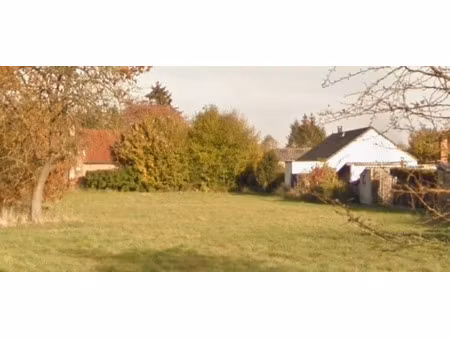 vente terrain 548 m² à bachy (59830)  135 000 €