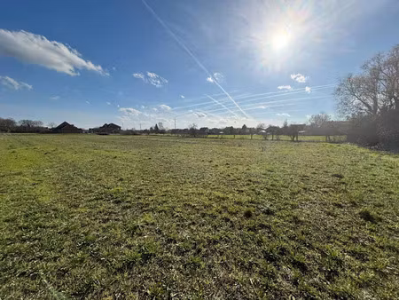 vente terrain 445 m² à hantay (59496)  143 000 €