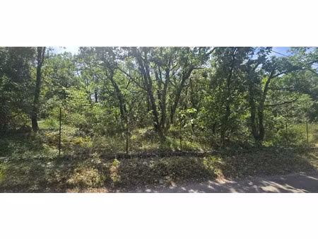 vente terrain 1565 m² à saint-cézaire-sur-siagne (06530)  180 000 €