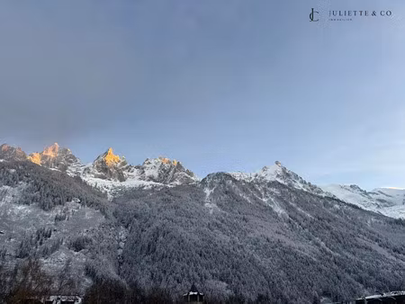 vente locaux professionnels 1 pièce 36.44 m² à chamonix-mont-blanc (74400)  295 000 €