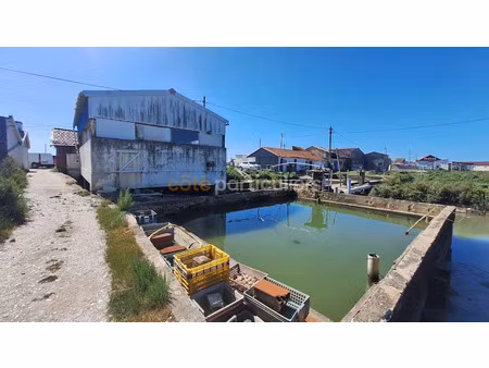 vente locaux professionnels 2 pièces 2823 m² à la tremblade (17390)  56 900 €