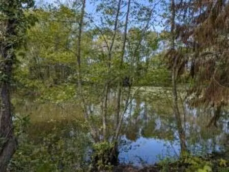 vente terrain à cesson-sévigné (35510) : à vendre / 827m² cesson-sévigné