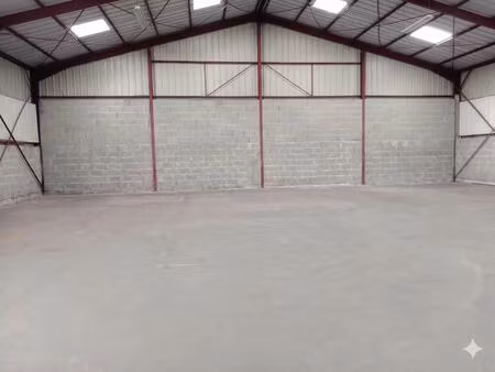 vente local d’activités artigueloutan 64420 455m²