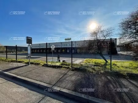 vente entrepôt logistique illkirch-graffenstaden 67400 4633m²