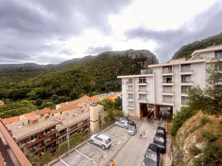 à vendre – grand appartement rénové dans la résidence des