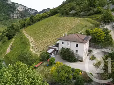 maison à vendre - 9 pièces - 268 m2 - cerdon - 01 - rhone-alpes