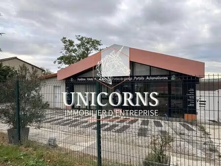vente commerce castanet tolosan 31320 374m²