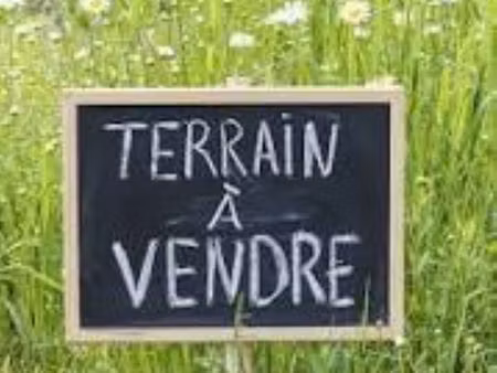 terrain à bâtir sur 2939 m2 - 37240 ciran