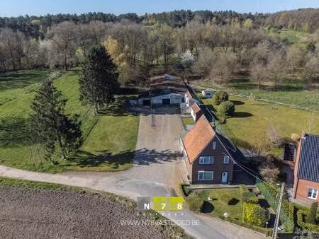 maison à vendre à neeroeteren € 389.000 (lokrb) - n78 vastgoed | zimmo