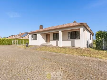 maison à vendre à peer € 425.000 (lom75) - idealis vastgoed | zimmo