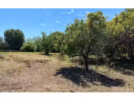 terrain cannes m² t- à vendre  245 000 €