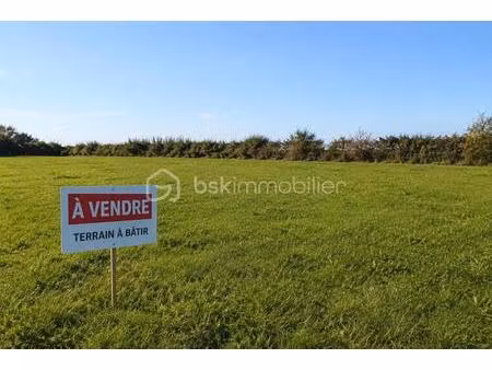 terrain viabilisé