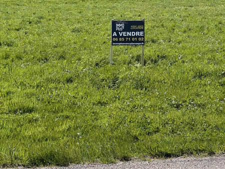 différents terrains à vendre  hautes vosges