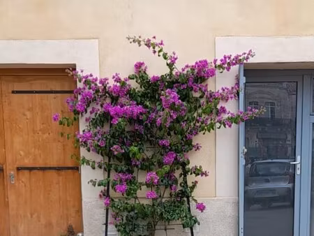a louer studio meuble villeneuve les maguelone