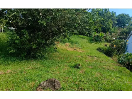 terrain sainte-luce m² t- à vendre  82 000 €