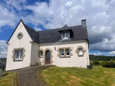 belle maison de 5 pièces à monteneuf (56380)