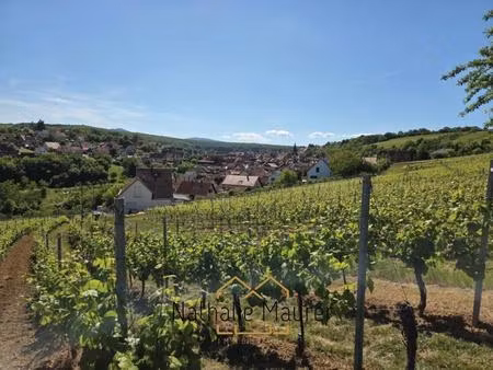 grand terrain constructible hors lotissement