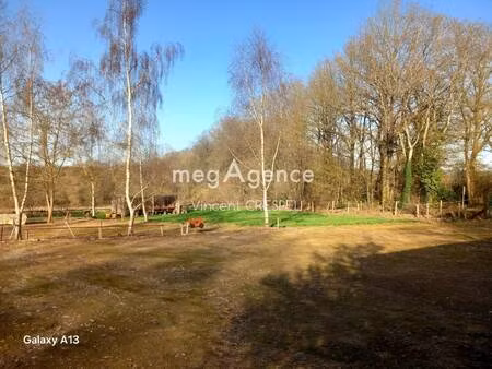 vincent crespel consultant megagence