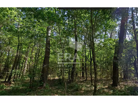 terrain 0 pièces 8870 m² à vendre / acheter montpon-ménestérol 24700 ? | era immobilier