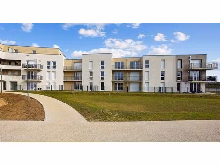 pichet immobilier services location