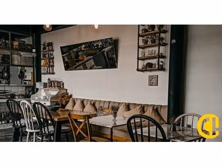 location commerce lyon 69001 45m²
