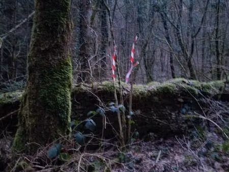terrain forestier – 6 175 m² – granges-de-vaivre mouchard (jura)