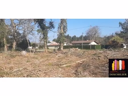 terrain