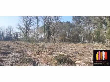 terrain