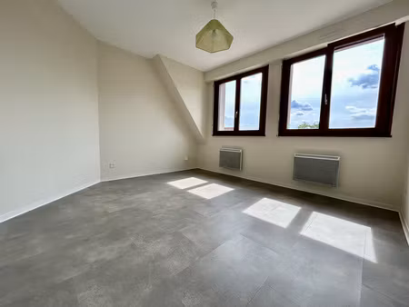 appartement 2p  60m2  dernier étage  colmar centre  gîte possible