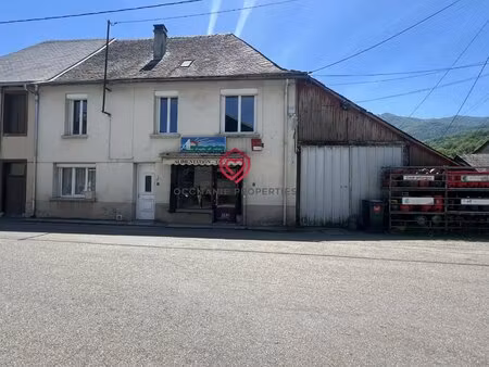 maison de village avec local commercial et hangar