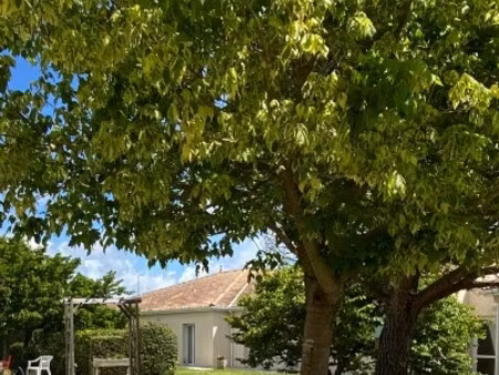 achat appartement 1 pièce 17m² st palais sur mer 17420