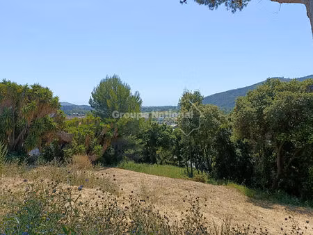 achat terrain 2 343m²