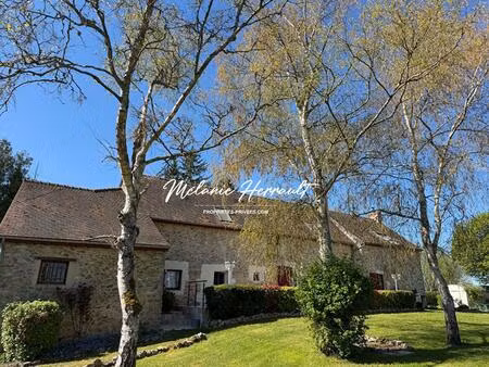 maison ancienne rénovée - 6 pièces - parigné-l'évêque (72)