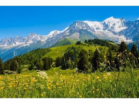 terrain les cluses 831 m2