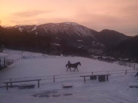vente ferme 5 pièces
